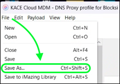 Proxy DNS Guardar como