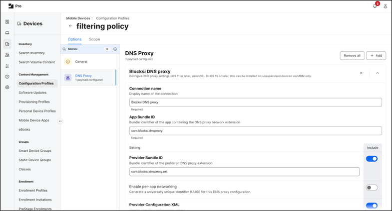 Pantalla de proxy DNS