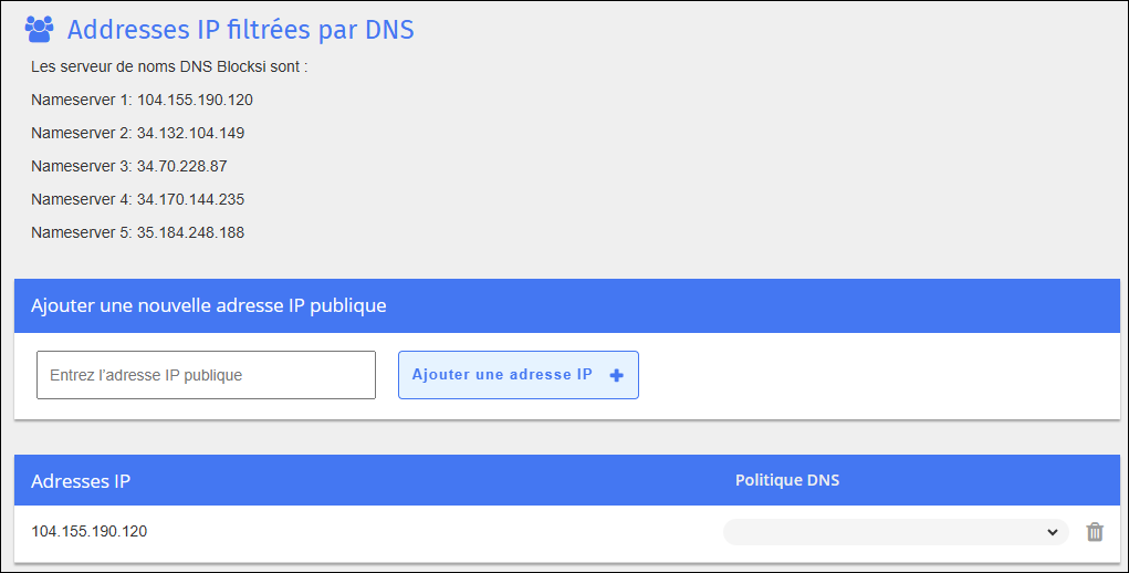 Écran Créer des adresses IP filtrées DNS