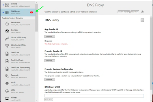 Proxy DNS 2