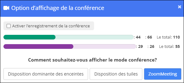 Fenêtre d'options d'affichage de conférence - Option Zoom