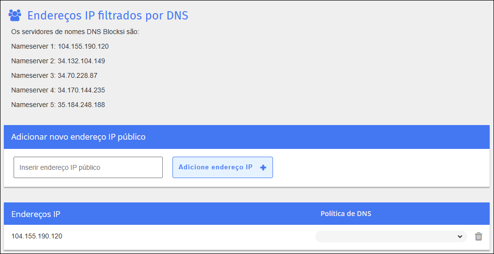 Tela Criar endereços IP filtrados de DNS