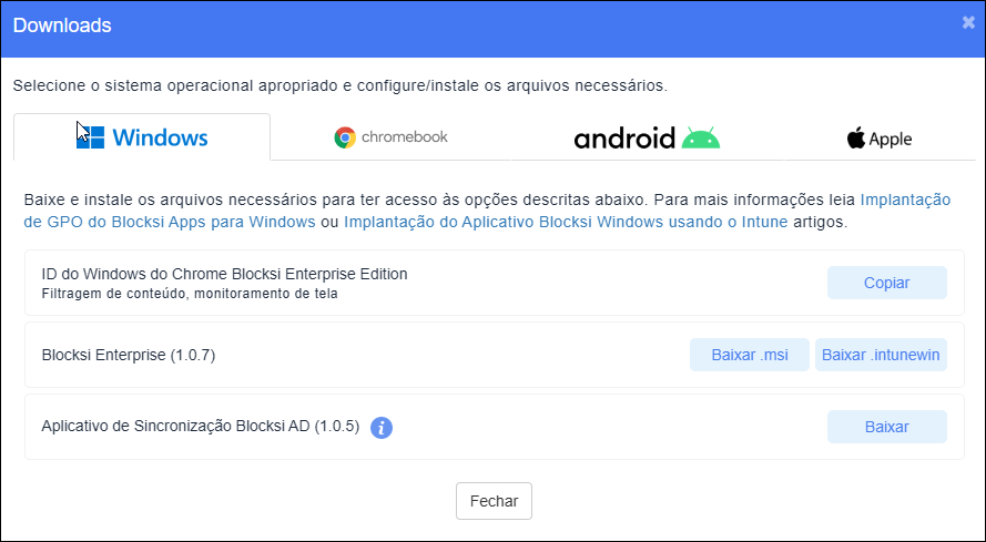 Janela de downloads