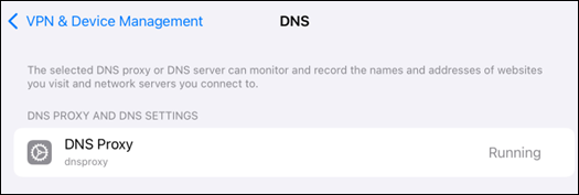 Janela de execução do proxy DNS