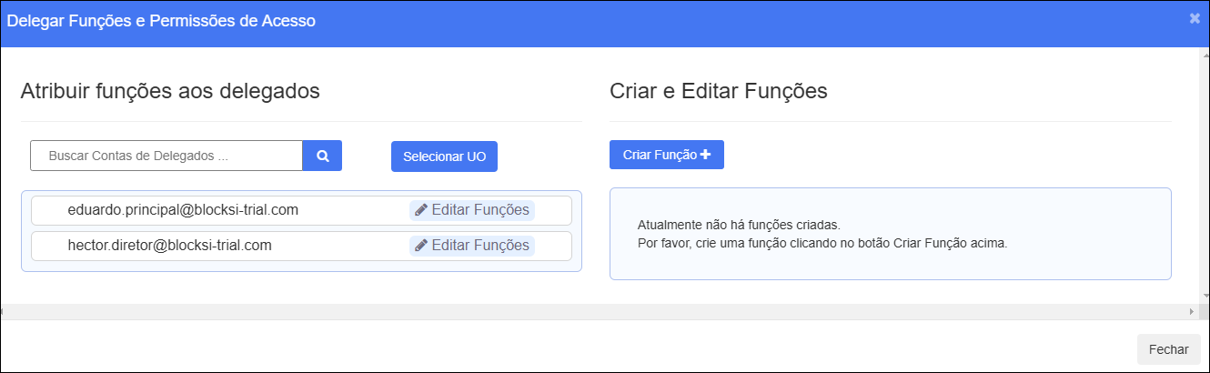 Janela de permissões de acesso e funções de delegado